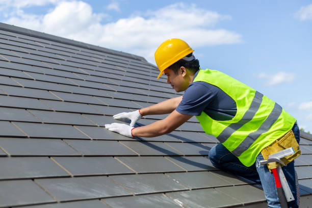 Best Local Roofing Companies  in Hemphill, TX