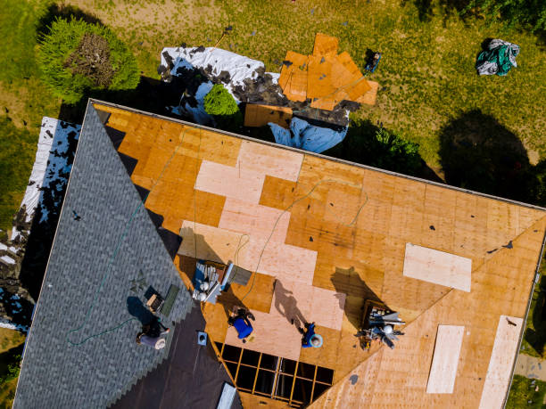Best Roof Gutter Cleaning  in Hemphill, TX