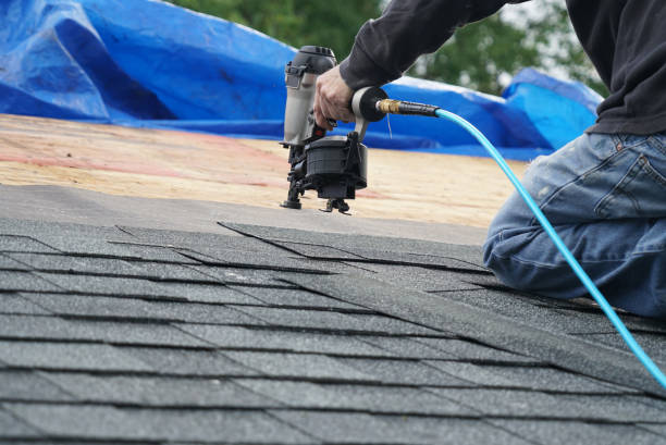 Best Roof Gutter Cleaning  in Hemphill, TX