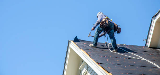 Best Local Roofing Companies  in Hemphill, TX